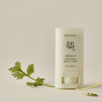 Beauty of Joseon Matte Sun Stick Mugwort + Camellia (SPF 50+ PA++++)