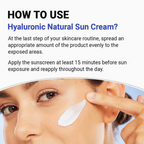 ISNTREE Hyaluronic Acid Natural Sun Cream SPF50+ PA++++ 50ml