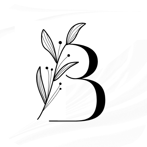 beausial logo fvicon