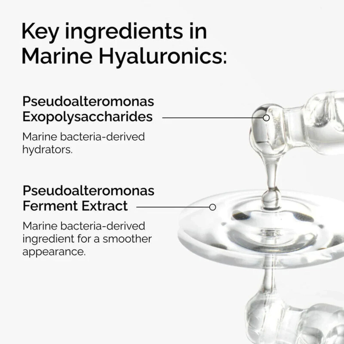 The Ordinary Marine Hyaluronics Lightweight Hydration Serum 30ml The Ordinary